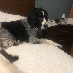 Meet your Posher, Steven